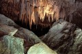 Thumbs/tn_carlbad01.jpg