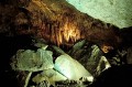 Thumbs/tn_carlbad02.jpg