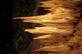 Thumbs/tn_carlbad05.jpg