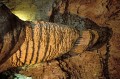 Thumbs/tn_carlbad19.jpg