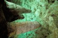 Thumbs/tn_carlbad21.jpg