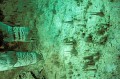 Thumbs/tn_carlbad24.jpg