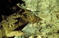 Thumbs/tn_carlbad26.jpg