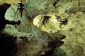 Thumbs/tn_carlbad28.jpg