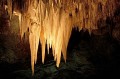 Thumbs/tn_carlbad35.jpg