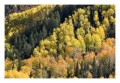 Thumbs/tn__d6q2215.jpg