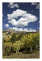 Thumbs/tn__d6q2259.jpg