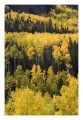 Thumbs/tn__d6q2295.jpg