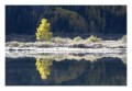 Thumbs/tn__d6q2352.jpg