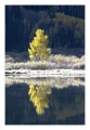 Thumbs/tn__d6q2357.jpg