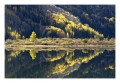 Thumbs/tn__d6q2422.jpg