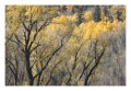 Thumbs/tn__d6q2572.jpg