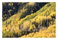 Thumbs/tn__d6q2578.jpg