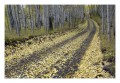 Thumbs/tn__d6q2612.jpg
