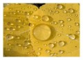 Thumbs/tn__d6q2659.jpg