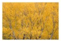 Thumbs/tn__d6q2765.jpg
