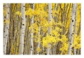 Thumbs/tn__d6q2828.jpg