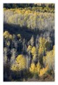 Thumbs/tn__d6q2840.jpg