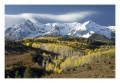 Thumbs/tn__d6q2843.jpg