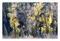 Thumbs/tn__d6q3098.jpg