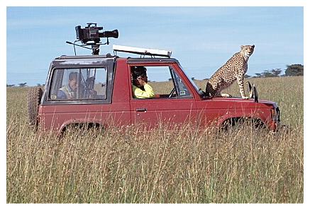 ../Images/gepard46.jpg