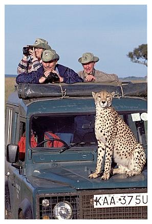 ../Images/gepard48.jpg