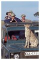 Thumbs/tn_gepard48.jpg
