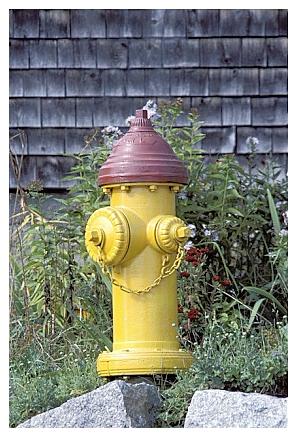 ../Images/gp-acadia14.jpg