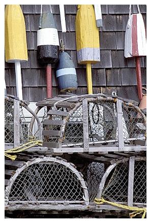 ../Images/gp-acadia17.jpg