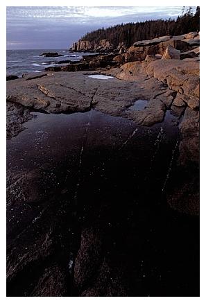 ../Images/gp-acadia19.jpg
