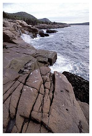 ../Images/gp-acadia22.jpg