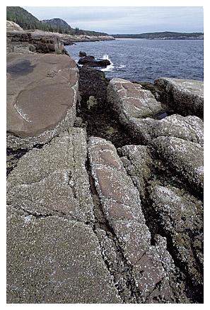 ../Images/gp-acadia23.jpg