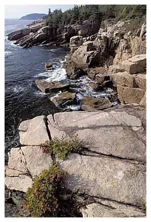 ../Images/gp-acadia24.jpg