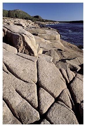 ../Images/gp-acadia26.jpg