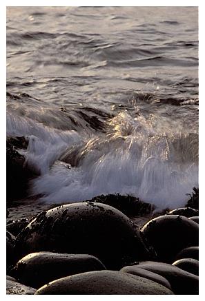 ../Images/gp-acadia28.jpg