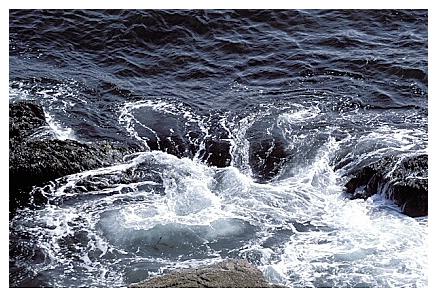 ../Images/gp-acadia30.jpg