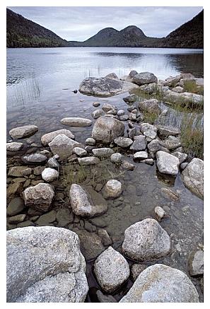 ../Images/gp-acadia31.jpg