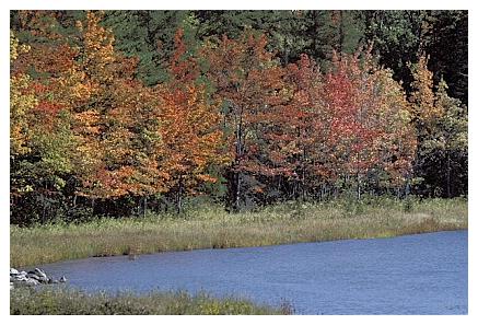../Images/gp-acadia37.jpg
