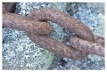 Thumbs/tn_gp-acadia12.jpg