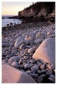 Thumbs/tn_gp-acadia27.jpg