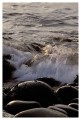 Thumbs/tn_gp-acadia28.jpg