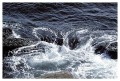 Thumbs/tn_gp-acadia30.jpg
