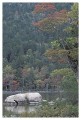 Thumbs/tn_gp-acadia35.jpg