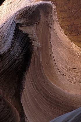 ../Images/gp-22.jpg
