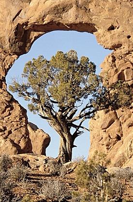 ../Images/gparches08.jpg
