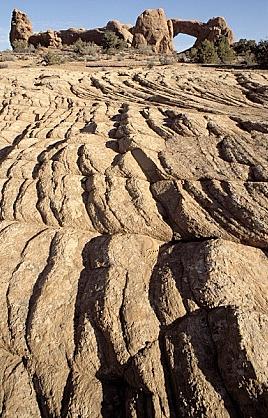 ../Images/gparches10.jpg