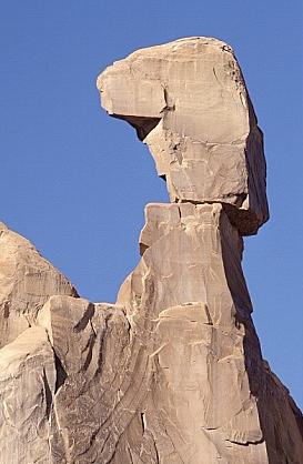 ../Images/gparches14.jpg