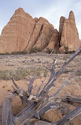 ../Images/gparches39.jpg