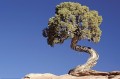 Thumbs/tn_gparches01.jpg
