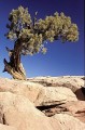 Thumbs/tn_gparches04.jpg